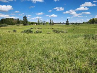 Photo 6: 32089 Willow Way in Rural Rocky View County: Rural Rocky View MD Residential Land for sale : MLS®# A2119036