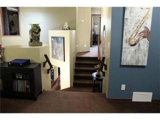 Photo 20: 229 CRANFIELD Manor SE in Calgary: Cranston House for sale : MLS®# C4049017