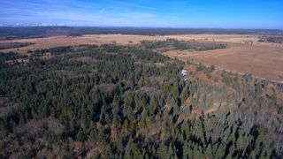 Photo 8: 20.02 Acres +/- NW of Cochrane in Rural Rocky View County: Rural Rocky View MD Land for sale : MLS®# A1065950
