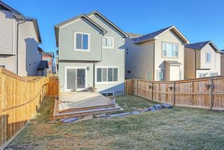 Photo 38: 142 SAGE BANK Grove NW in Calgary: Sage Hill House for sale : MLS®# C4149523