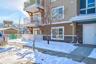 Photo 39: 2102 302 Skyview Ranch Drive NE in Calgary: Skyview Ranch Apartment for sale : MLS®# A2031596