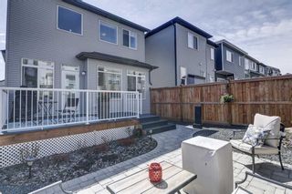 Photo 34: 25 Nolanhurst Crescent NW in Calgary: Nolan Hill Detached for sale : MLS®# A1221820