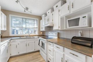 Photo 9: 423 Lysander Drive SE in Calgary: Ogden Detached for sale : MLS®# A1052411