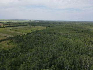 Photo 3: 0 MUN 49N Road in Tache Rm: Vacant Land for sale : MLS®# 202319460