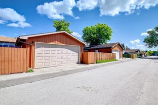 Photo 39: 6207 Temple Drive NE in Calgary: Temple Detached for sale : MLS®# A1234362