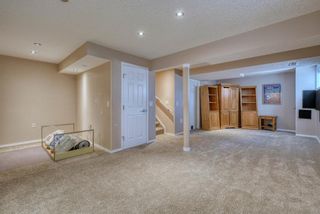 Photo 19: 448 Morningside Way SW: Airdrie Detached for sale : MLS®# A1084129