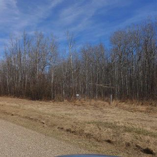 Photo 18: 515 54411 RR 40: Rural Lac Ste. Anne County Rural Land/Vacant Lot for sale : MLS®# E4239945