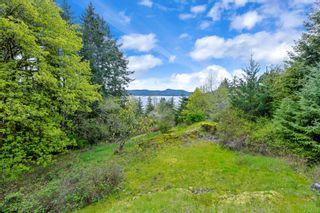 Photo 67: 3013 Manzer Rd in Sooke: Sk 17 Mile House for sale : MLS®# 960355