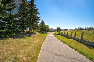 Photo 47: 110 305 1 Avenue NW: Airdrie Apartment for sale : MLS®# A1255700