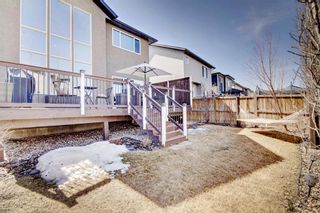 Photo 38: 18 CHAPARRAL VALLEY Grove SE in Calgary: Chaparral Detached for sale : MLS®# A1096599