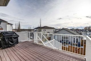 Photo 38: 202 Royal Birch View NW in Calgary: Royal Oak Detached for sale : MLS®# A2018751