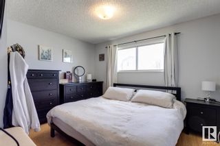Photo 13: 4711 105A Street in Edmonton: Zone 15 House for sale : MLS®# E4293562