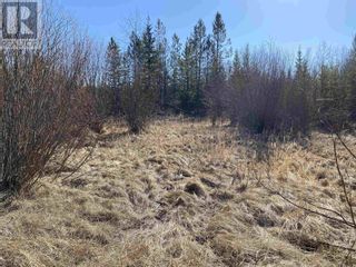 Photo 11: Lot B LONE BUTTE HORSE LAKE ROAD in 100 Mile House: Vacant Land for sale : MLS®# R2870362
