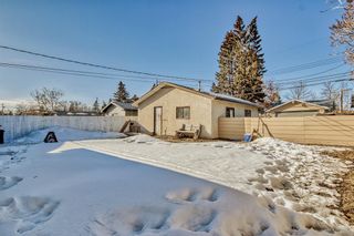 Photo 40: 132 Foritana Road SE in Calgary: Forest Heights Detached for sale : MLS®# A2034683
