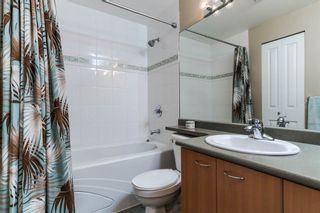 Photo 15: A432 2099 Lougheed Hwy in Port Coquitlam: Condo for sale : MLS®# R2027045