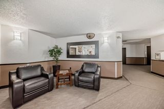 Photo 20: 101 11 Dover Point SE in Calgary: Dover Apartment for sale : MLS®# A2123034
