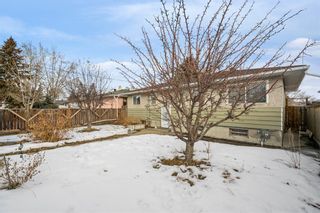 Photo 35: 1119 40 Street SE in Calgary: Forest Lawn Detached for sale : MLS®# A2021142