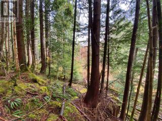 Photo 6: LOTS 3, 4, 5 E 9TH AVENUE in Prince Rupert: Vacant Land for sale : MLS®# R2872198