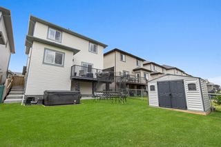 Photo 33: 1734 Baywater Drive SW: Airdrie Detached for sale : MLS®# A1232017