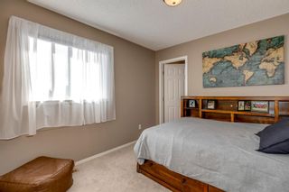 Photo 19: 138 Elgin Drive SE in Calgary: McKenzie Towne Detached for sale : MLS®# A1216902