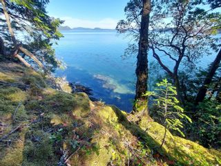 Photo 12: 9844 Canal Rd in Pender Island: GI Pender Island House for sale (Gulf Islands)  : MLS®# 923072