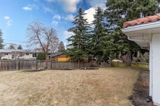 Photo 37: 55 Coleridge Crescent NW in Calgary: Cambrian Heights Detached for sale : MLS®# A2129195
