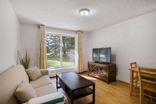 Photo 12: 104C 5601 Dalton Drive NW in Calgary: Dalhousie Apartment for sale : MLS®# A1236993