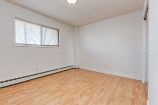 Photo 15: 10 1815 26 Avenue SW in Calgary: South Calgary Apartment for sale : MLS®# A2039783
