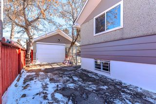 Photo 32: 2236 41 Street SE in Calgary: Forest Lawn Detached for sale : MLS®# A2031091