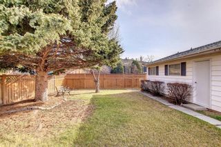 Photo 45: 5508 Dalhousie Drive NW in Calgary: Dalhousie Detached for sale : MLS®# A1212597