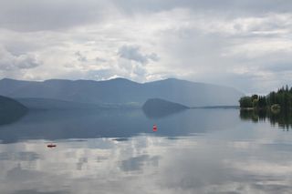 Photo 30: Affordable Shuswap Waterfront!