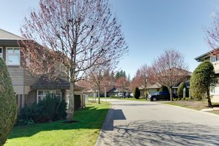 Photo 3: 54 11737 236 Street in Maple Ridge: Cottonwood MR Townhouse for sale in "Maplewood Creek" : MLS®# R2271286
