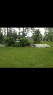 Photo 38: 4478 County Rd 45 in Hamilton Township: House for sale : MLS®# 511050344