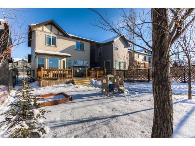 Photo 17: Photos: 148 COUGARSTONE Common SW in Calgary: Cougar Ridge Residential Detached Single Family for sale : MLS®# C3643965