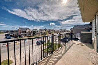 Photo 33: 314 Evanston Drive NW in Calgary: Evanston Detached for sale : MLS®# A2129617