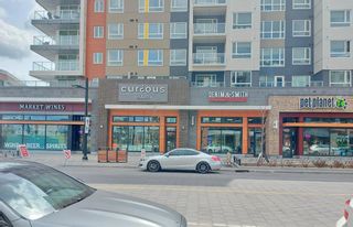 Photo 32: 208 3130 Thirsk Street NW in Calgary: University District Apartment for sale : MLS®# A2041641