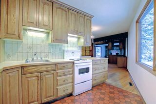 Photo 16: 3428 34 Avenue SW in Calgary: Rutland Park Detached for sale : MLS®# A2007438