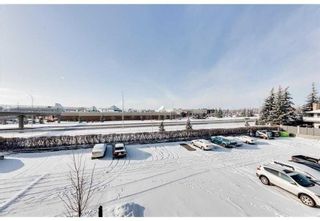 Photo 14: 305 3737 42 Street NW in Calgary: Varsity Apartment for sale : MLS®# A2129816