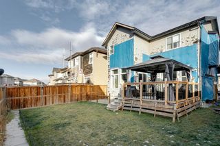 Photo 43: 43 Skyview Shores Link NE in Calgary: Skyview Ranch Detached for sale : MLS®# A1045860