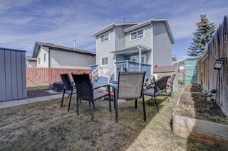 Photo 35: 35 Whitworth Way NE in Calgary: Whitehorn Detached for sale : MLS®# A2124398