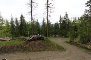 Photo 3: 7503 Estate Drive in Anglemont: North Shuswap Land Only for sale (Shuswap)  : MLS®# 10252904