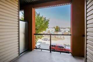 Photo 11: 210 2727 28 Avenue SE in Calgary: Dover Apartment for sale : MLS®# A2079510