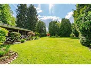 Photo 4: 4848 246A Street in Langley: Salmon River House for sale : MLS®# R2530745