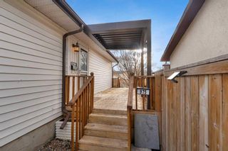 Photo 5: 975 Pinecliff Drive NE in Calgary: Pineridge Detached for sale : MLS®# A2126567