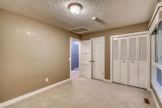 Photo 23: 220 Pump Hill Crescent SW in Calgary: Pump Hill Detached for sale : MLS®# A1214703