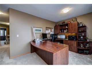Photo 37: 137 COVE Court: Chestermere House for sale : MLS®# C4090938