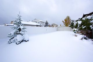 Photo 39: 298 Hawkville Close NW in Calgary: Hawkwood Detached for sale : MLS®# A2008296