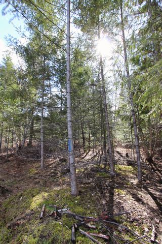 Photo 13: Lot B Zinck Road in Scotch Creek: Land Only for sale : MLS®# 10249220