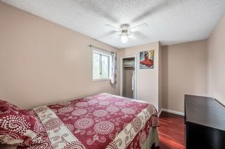 Photo 11: 59 ERIN GREEN Way SE in Calgary: Erin Woods Detached for sale : MLS®# A2053027