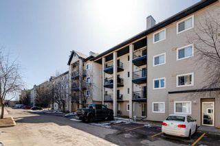 Photo 30: 3206 4975 130 Avenue SE in Calgary: McKenzie Towne Apartment for sale : MLS®# A2103386
